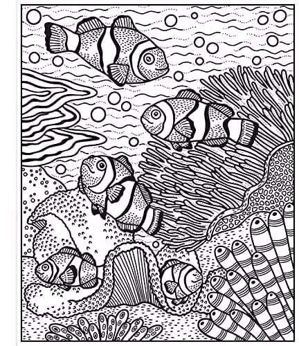 Usborne Magic Painting Coral Reef Childrens Activity Book – 2