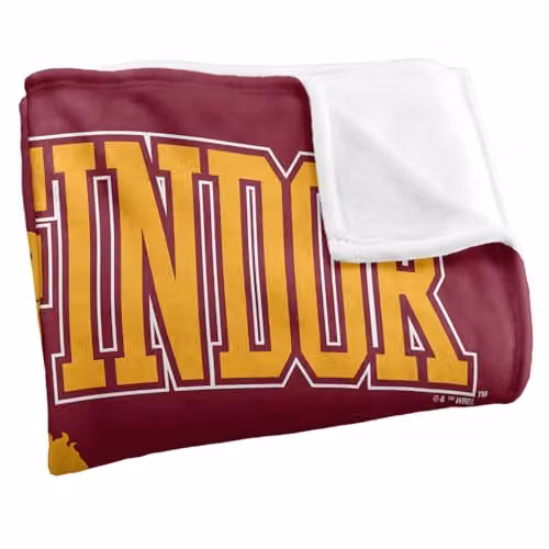 LOGOVISION Harry Potter Gryffindor Arched Lion Super Soft Fleece Throw Blanket, Multicolour – 2