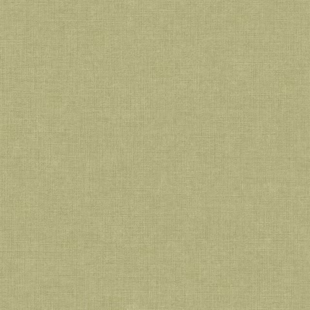Grandeco Plain Green Wallpaper