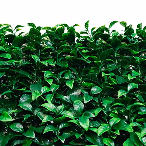 Gardenwize Pack of 4 Artificial Bay Leaf Wall Panels, Green, W/H: 50 x 50 cm – 9