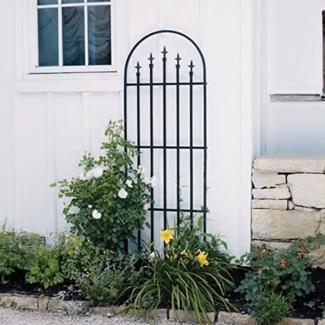 Primrose French Arch Metal Trellis with Finials in Black, Height: 203 cm