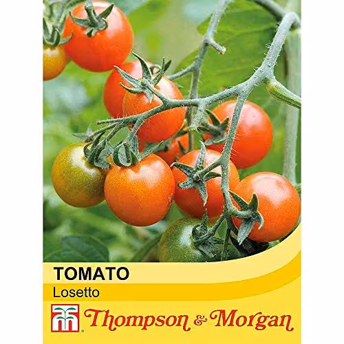 Thompson and Morgan Tomato Losetto Seeds, 5 Seeds per Packet – 2