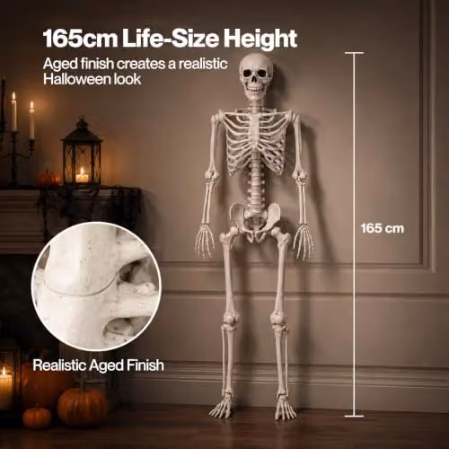Yezi Halloween Life Size Poseable Skeleton in White, Height: 165 cm – 2