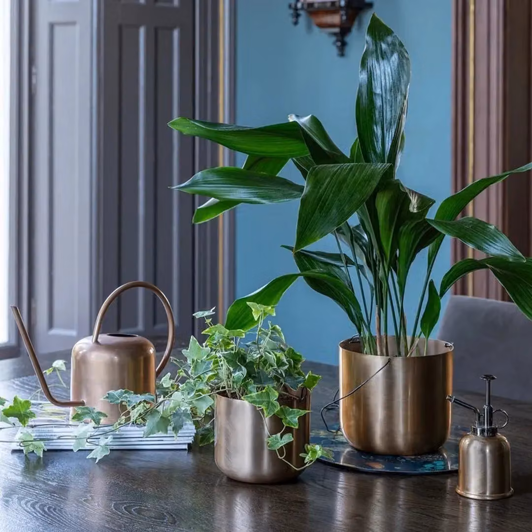 Ivyline Royal Botanic Gardens Kew Matt Brass Plant Mister in Gold, Height: 14 cm – 4