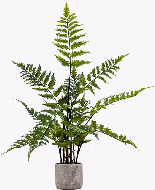 Perch & Parrow Solana Faux Fern in a Stone Grey Pot