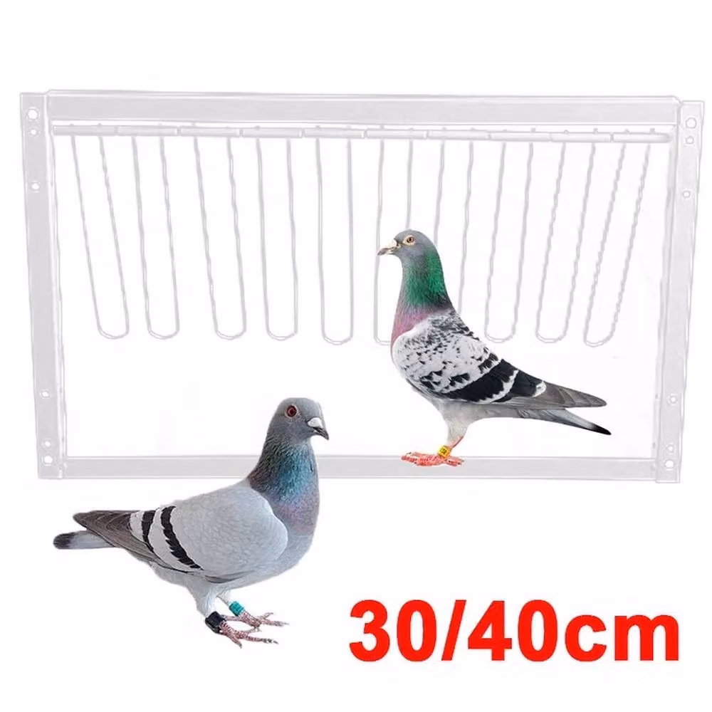 KORVIXA Removable Pigeon Loft Entrance Trap Door in Silver, W/H: 52 x 5.2 cm – 3