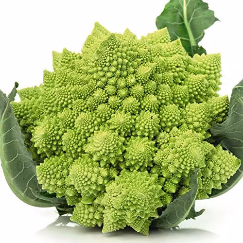 Thompson and Morgan Romanesco Precoce Cauliflower Vegetable Seeds, 275 Seeds – 2