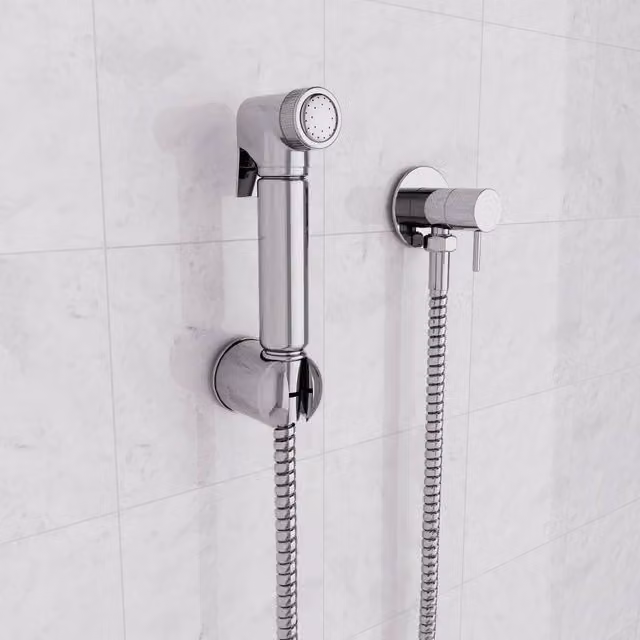 Nes Home Chrome Handheld Bidet Spray Kit in Silver