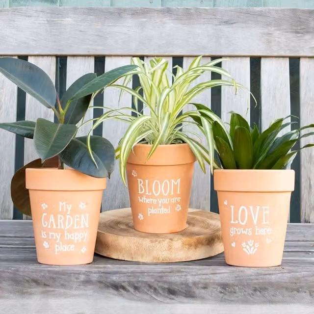 Kingsbury Gifts Bloom Where You Are Planted Floral Ceramic Terracotta Planter in Orange and White, W/D/H: 17 x 17 x 17 cm