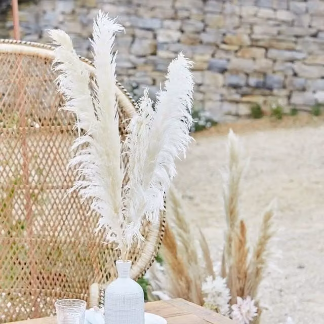 KDMD White Bleached Pampas Grass Stems, 5 Pack