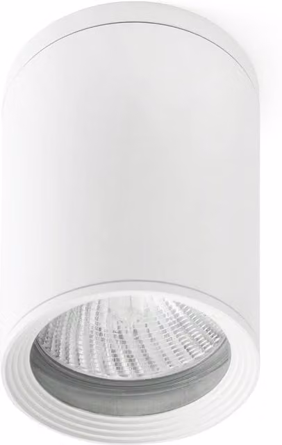 Netlighting Tasa 1 White Surface Mounted Outdoor Ceiling Light IP44