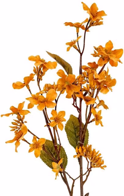 Hill Interiors Vernicia Fordii Artificial Flower Spray in Yellow