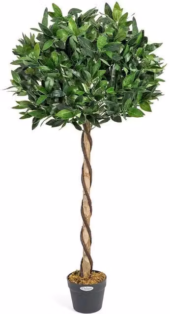 Christow Artificial Bay Tree Topiary Decoration in Green, Brown or Black, Height: 122 cm – 1