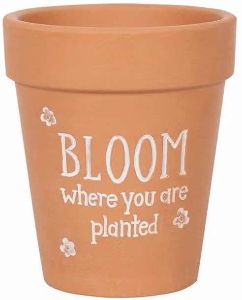 KDMD Bloom Where You Are Planted Floral Ceramic Terracotta Plant Pot in Brown