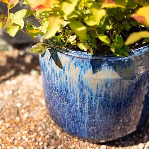 Primrose Blue Mix Round High Gloss Garden Planter, Diameter: 27 cm, Height: 23 cm – 2