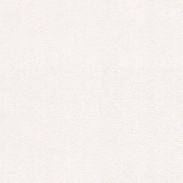 Belgravia White Abstract Nature Pattern Paintable Embossed Vinyl Wallpaper Roll