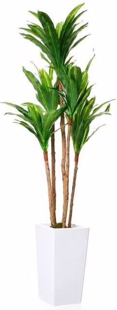 SPETLEK Faux Brazilian Tree with White Planter in Green