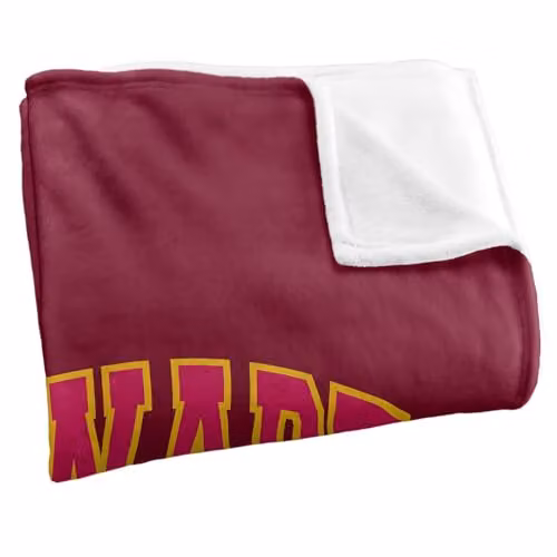 Warner Bros. Harry Potter Hogwarts Gryffindor Super Soft Fleece Throw Blanket, Multicolour, W: 91.44 cm, L: 147 cm – 2