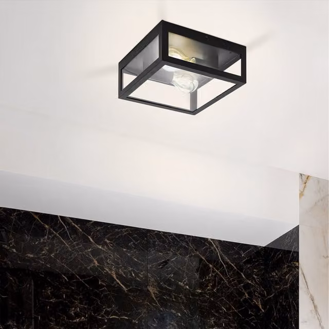 Eglo Amezola Industrial Black Metal and Transparent Glass IP44 Bathroom or Outdoor Ceiling Light