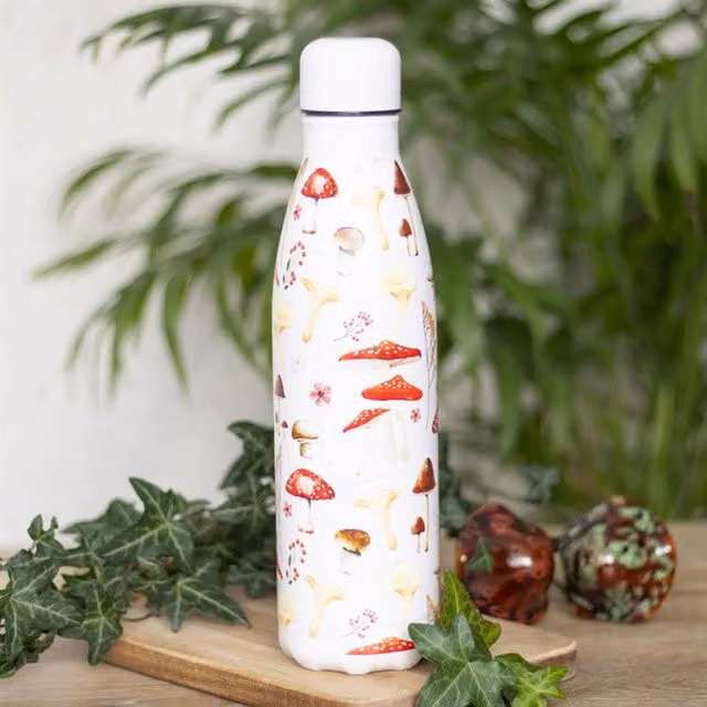 KDMK Mushroom Adventure Stainless Steel Metal Water Bottle, 500ml, Multicolor