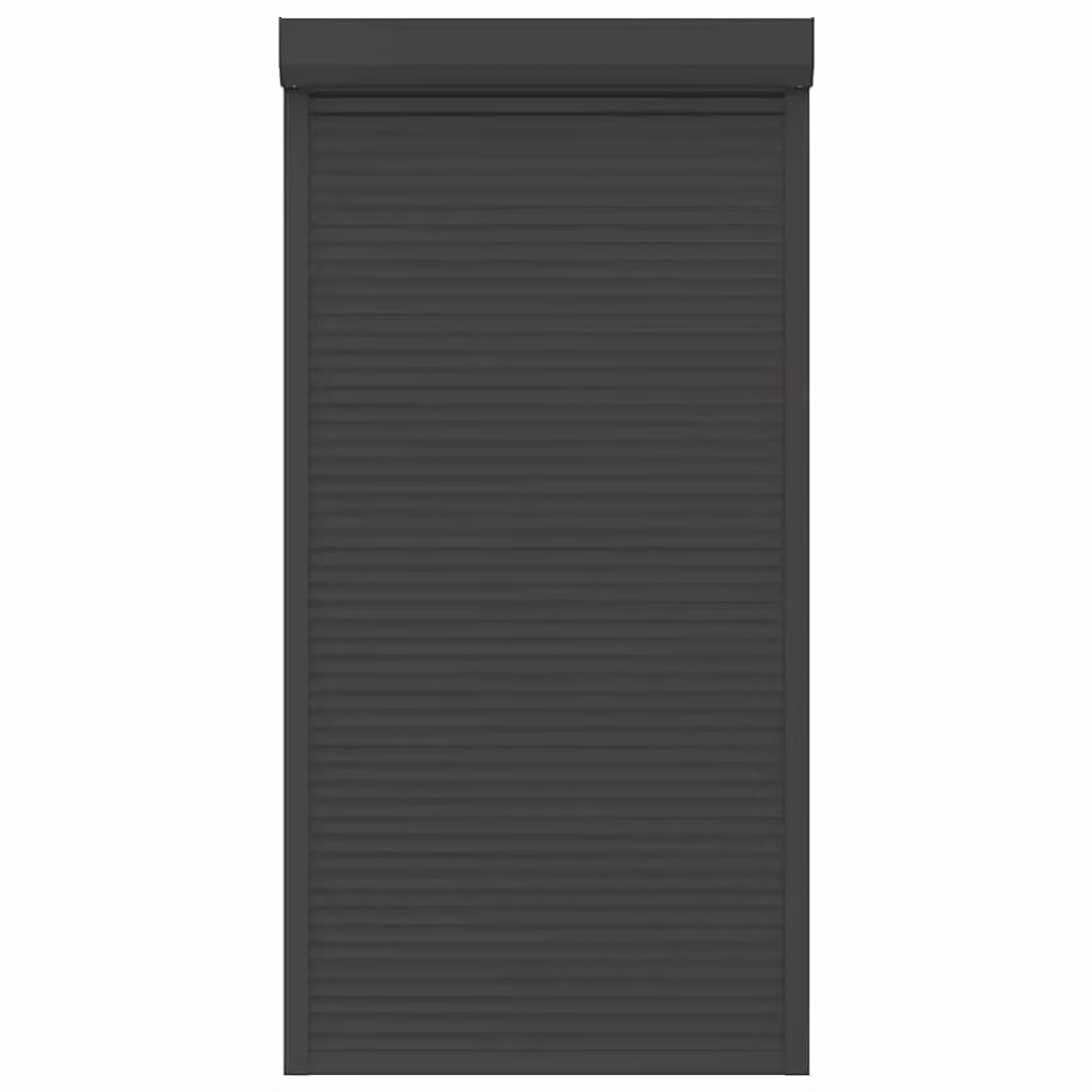 Berkfield Home Manual Aluminium Roller Shutter, Anthracite, W: 110 cm, H: 220 cm – 2