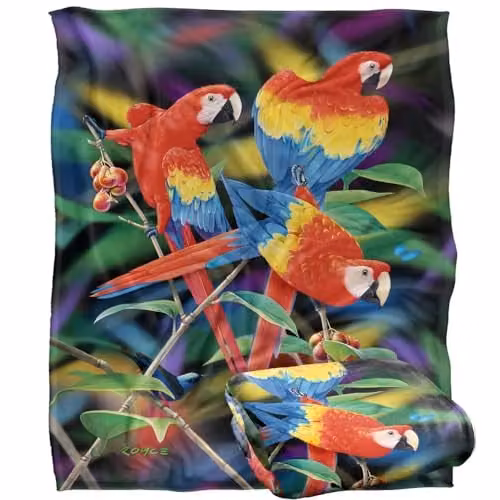 JQ Licensing Royce McClure Macaws Silky Touch Super Soft Fleece Throw Blanket, Multicolour, W: 152 cm, D: 127 cm