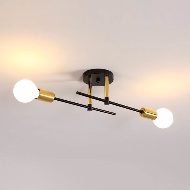Pheashine Modern 2-Light Adjustable Metal Ceiling Lamp in Black with E27 Base