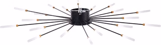 Livingandhome Modern LED Ceiling Light Fixture with 20 Arms in Black