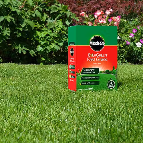 Miracle-Gro Gold Lawn Seed for 28 m2 – 2