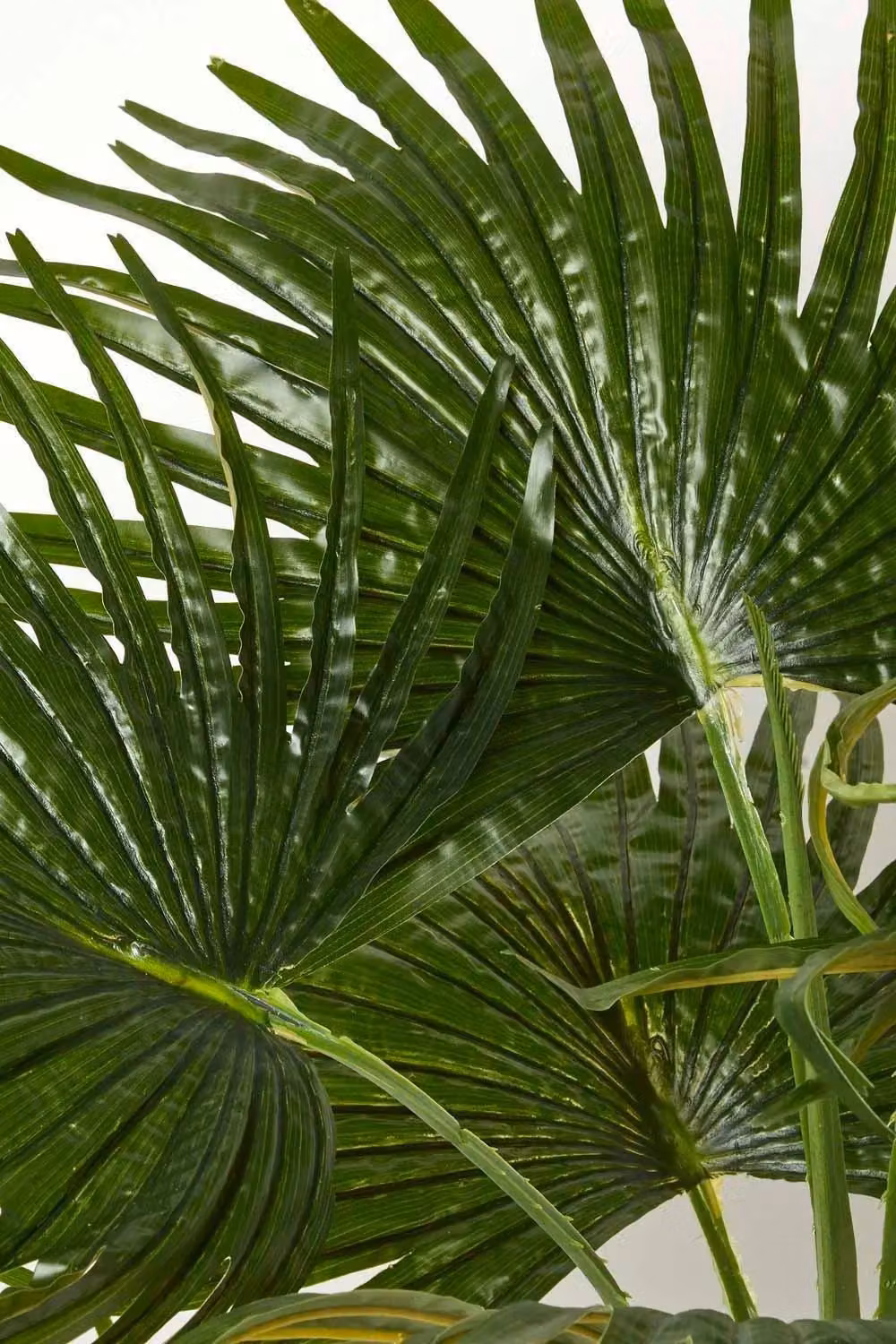 Homescapes Artificial Fan Palm Tree in a Black Pot, Height: 80 cm, Green – 3