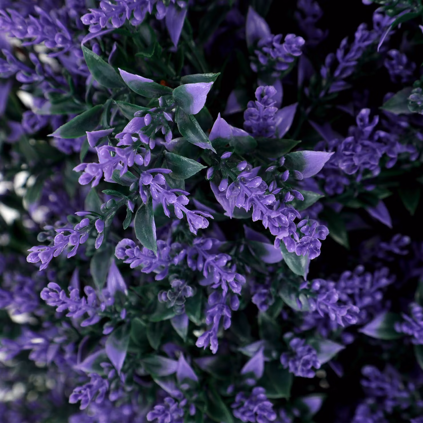 HOMCOM Set of 2 Artificial Lavender Flowers in Blue and Purple with Stakes, Height: 90 cm – 9