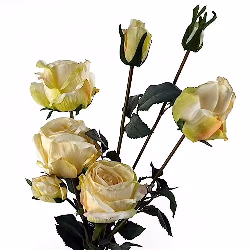 Leaf Design Organic Floral Artificial Rose Flowers in Beige and White Textile, H 60 cm x W 20 cm x D 20 cm – 3