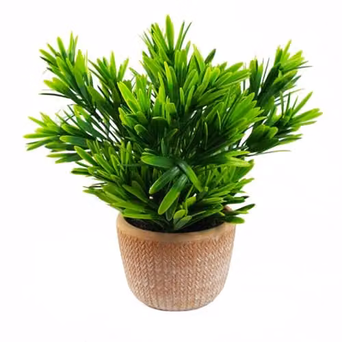 Leaf Potted Artificial Honey Plant in a Green Ceramic Pot, H 22 cm x W 15 cm x D 15 cm – 1