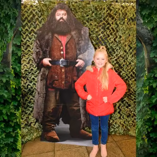 Star Cutouts SC1477 Rubeus Hagrid Wizard Large Cardboard Cutout, Multicolour Harry Potter Themed Party Decoration, H: 197 cm x W: 96 cm – 2