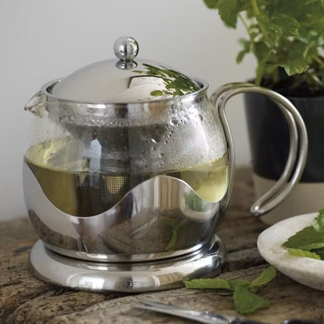 La Cafetiere Glass Loose Leaf Teapot with Infuser in Silver and Transparent – 1