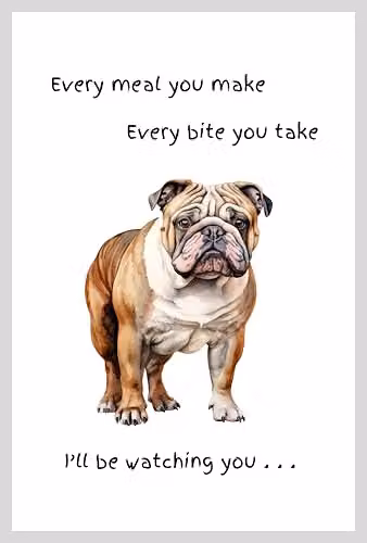 Animal Crackers English Bulldog Funny Wording Cotton Tea Towel, White and Grey, 66 cm – 3