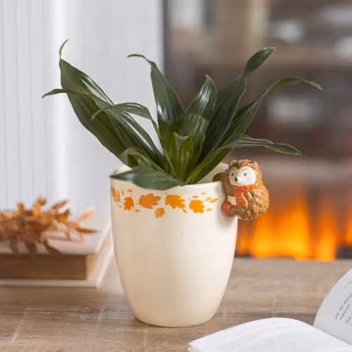 Something Different Wholesale Autumn Ceramic Hedgehog Plant Pot in Beige, H 15 cm x W 14 cm x D 11 cm – 2