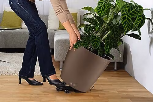 Lechuza Classico Self Watering Plant Pot, Sand – 2