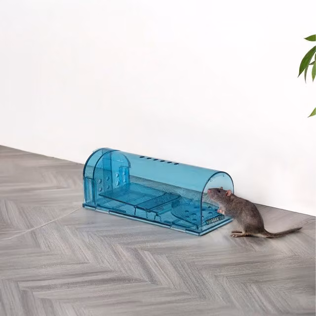 Komore 2 Pack Transparent Humane Mouse Traps in Blue