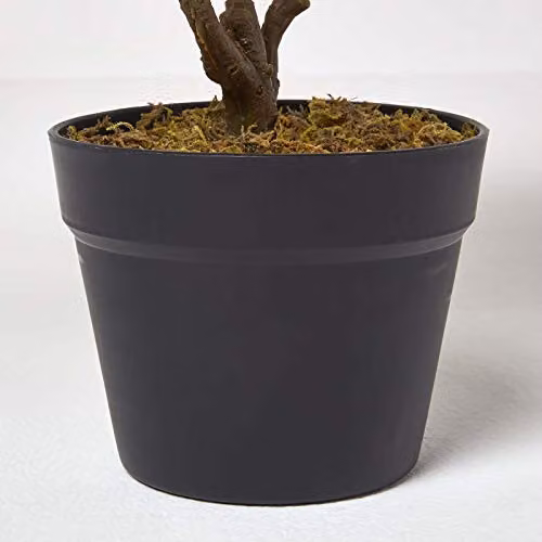 Homescapes Rushfoil Artificial Potted Croton Plant in Green, Yellow and Red with Black Pot, Height: 65 cm – 2