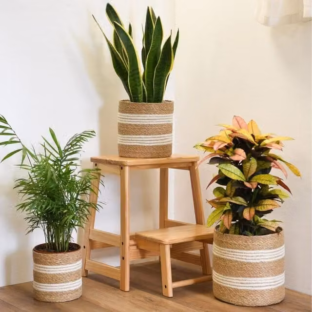 Garden Gear Set of Three Round Beige Rattan Indoor Planter Baskets with Open Weave Design