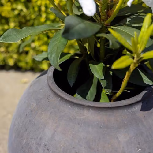 Primrose Round Concrete Planter Vase in Brown or Grey, Height: 21 cm or 31 cm – 2
