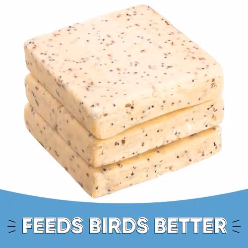 Happy Beaks Seeded Beef Suet Bird Food Treats, 3 Pack, Beige – 2