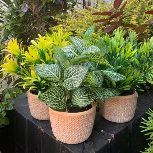Leaf Design UK Realistic Green Artificial Potted Plant in a Geometric Ceramic Pot, H 22 cm x W 15 cm x D 15 cm – 3