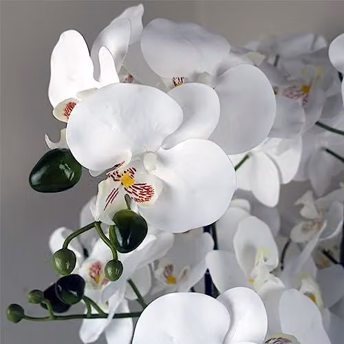 Leaf Design UK White Orchid in a Green Marble Effect Ceramic Planter, H 60 cm x W 40 cm x D 40 cm – 3