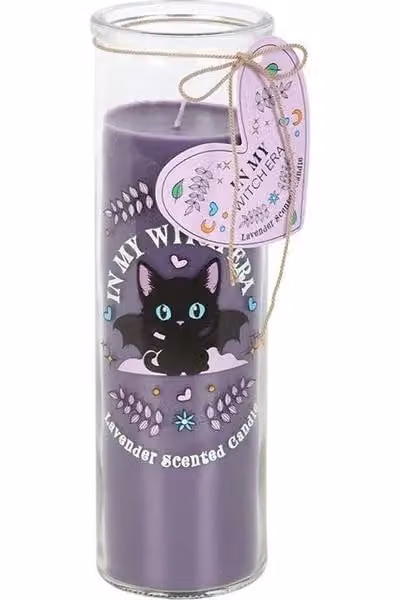 KDMD Of Whiskers & Wings Lavender Tube Candle in Purple – 2