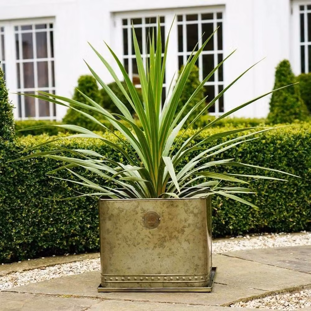 Ivyline Kew Regency Outdoor Planter in Gold, Diameter: 38 cm – 4