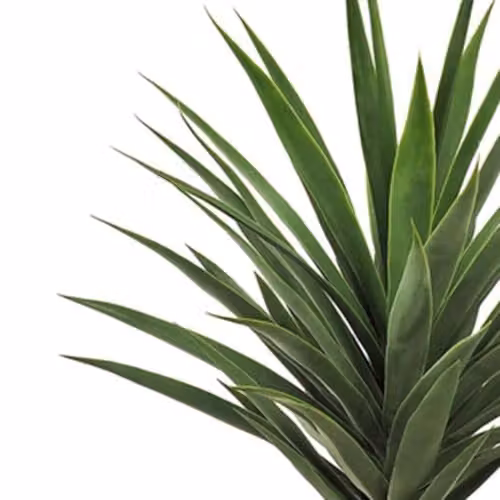 Leaf Design UK Artificial Green Yukka Tropical Potted House Plant – 2