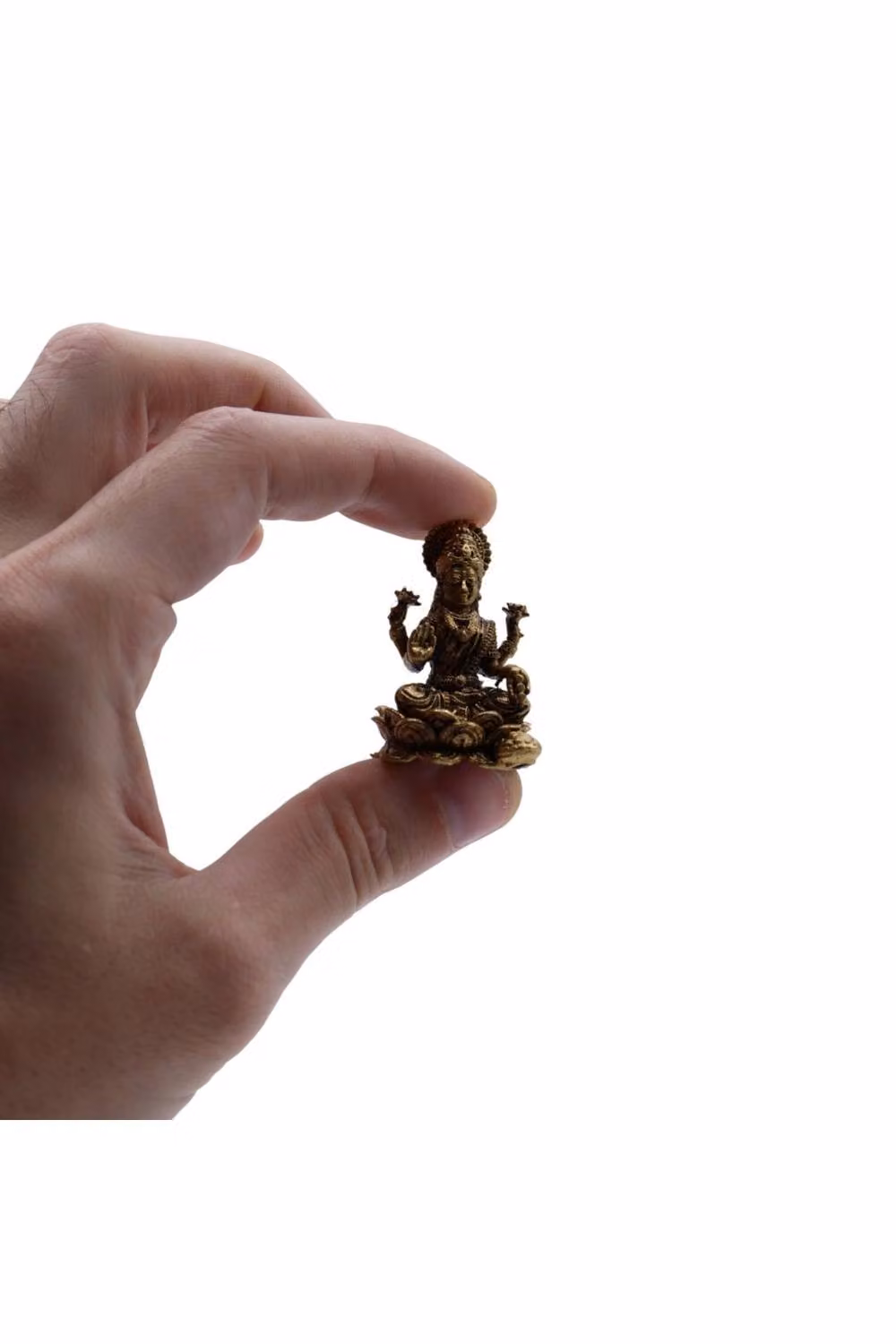 KDMD Handcrafted Brass Miniature Goddess Laxmi Figurine in Gold and Bronze – 2