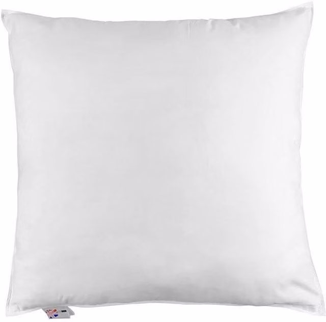 Homescapes Duck Feather Euro Continental Square Pillow, White, W/D/H: 80 x 80 x 80 cm
